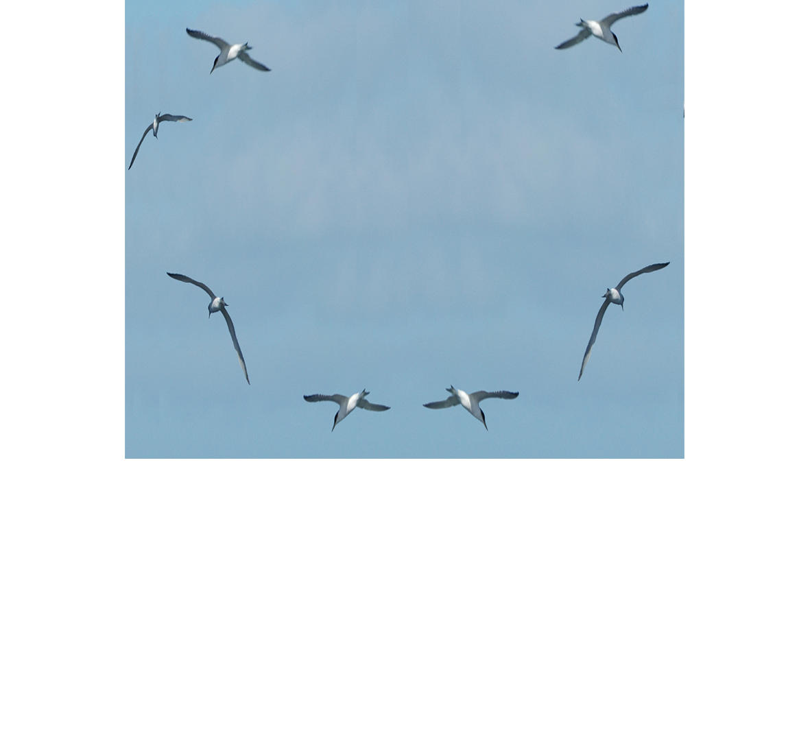 Game Fishing Club of South Australia